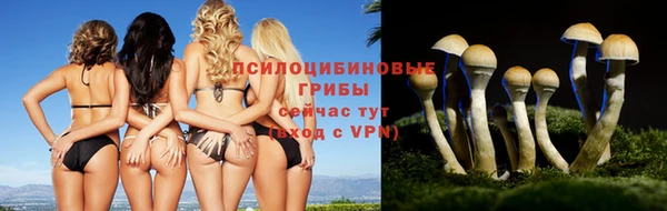 синтетический гашиш Аркадак
