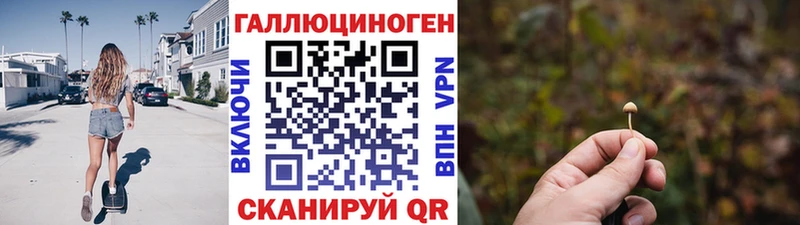 гидра рабочий сайт  купить закладку  Шадринск  Псилоцибиновые грибы мухоморы 