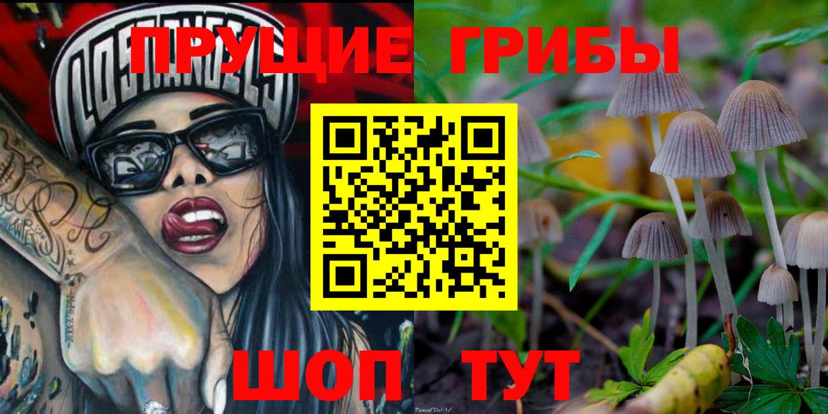 Шадринск  где купить наркоту  Вход с VPN  Псилоцибиновые грибы Magic Shrooms 