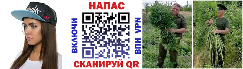 МАРИХУАНА AK-47 Шадринск